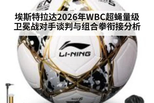 埃斯特拉达2026年WBC超蝇量级卫冕战对手谈判与组合拳衔接分析